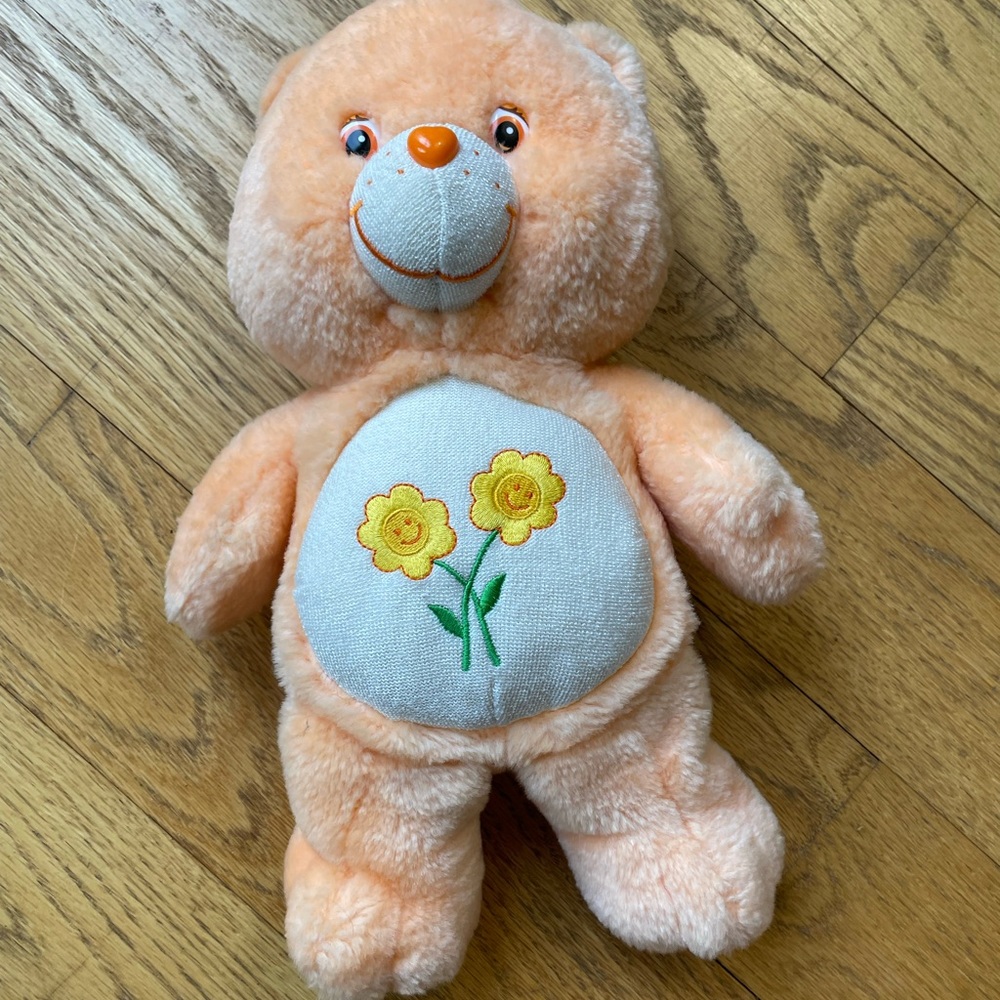 Care bear friend 13 inch